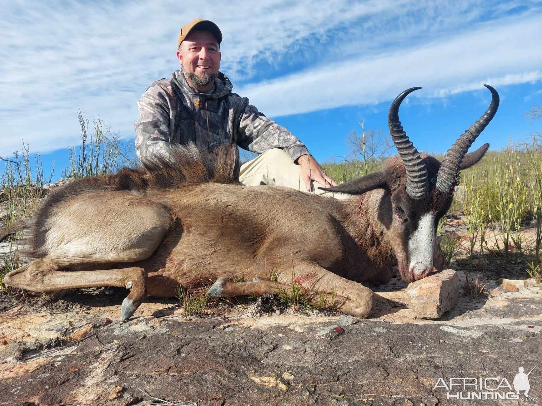 Springbok Hunt Eastern Cape South Africa