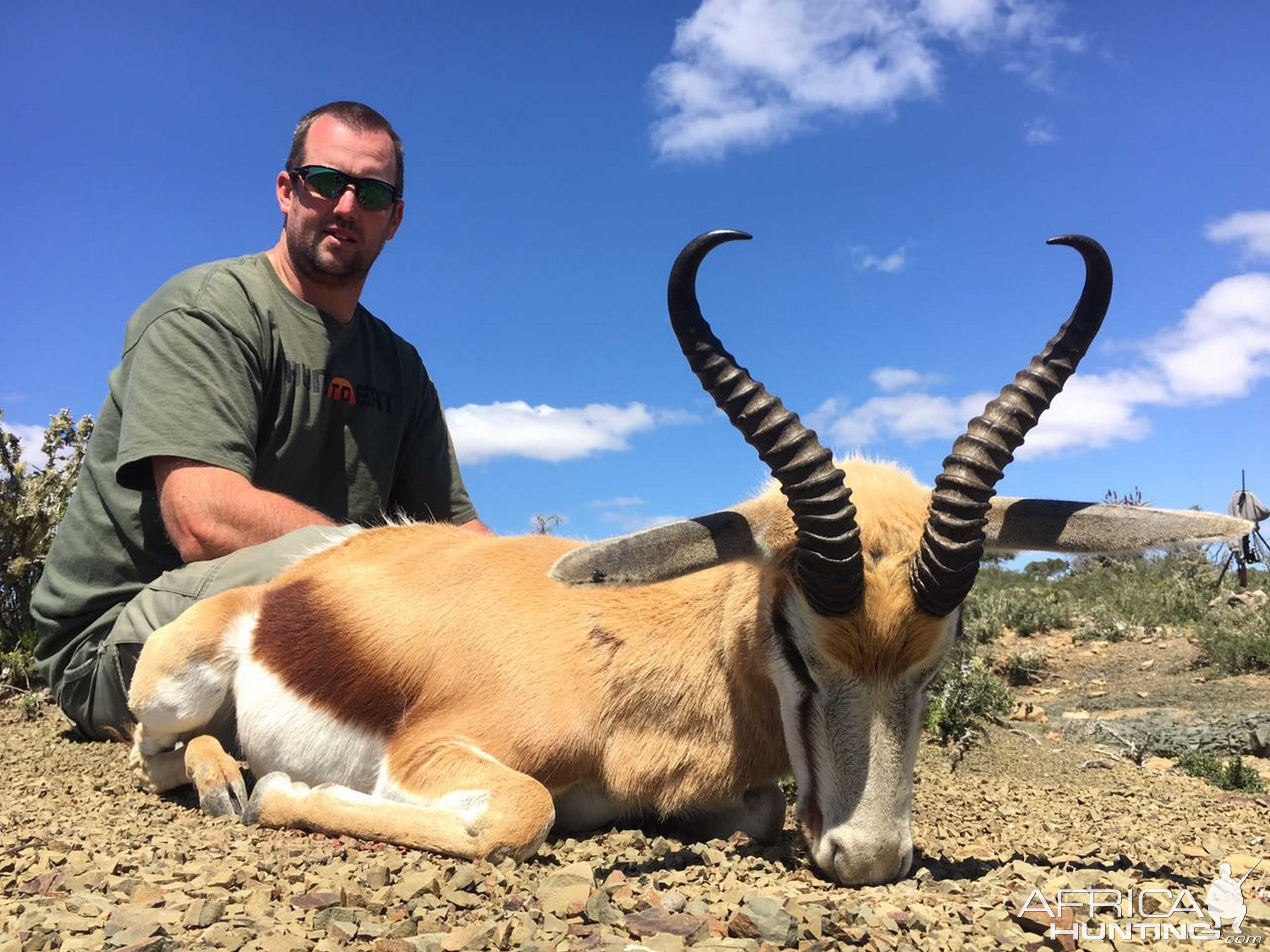 Springbok Hunt in South Africa