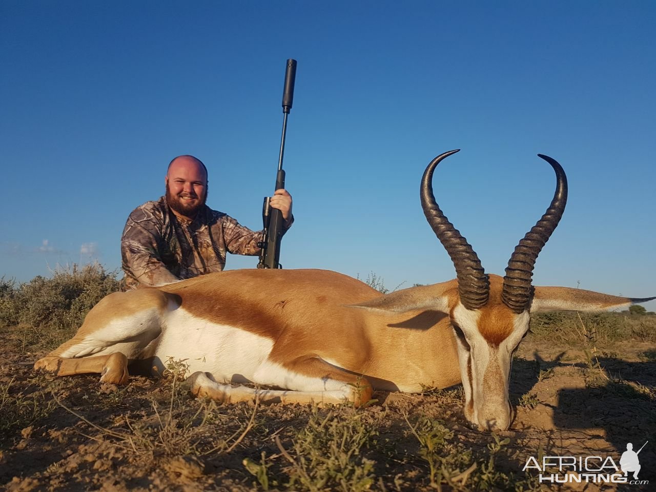 Springbok Hunt Kalahari South Africa