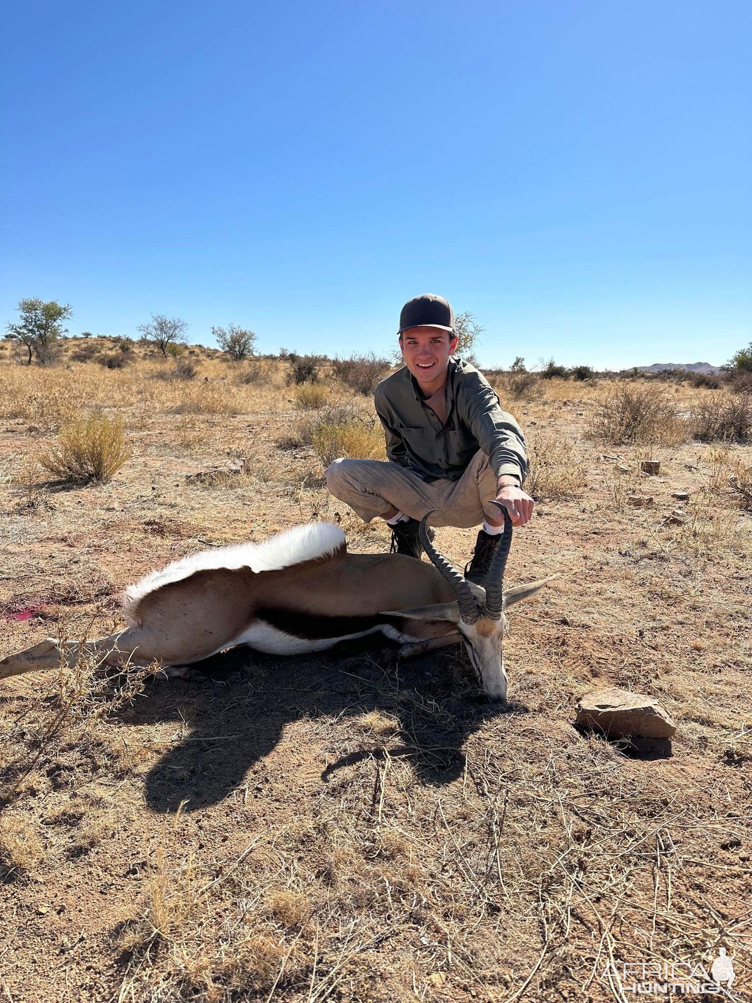 Springbok Hunt Namibia