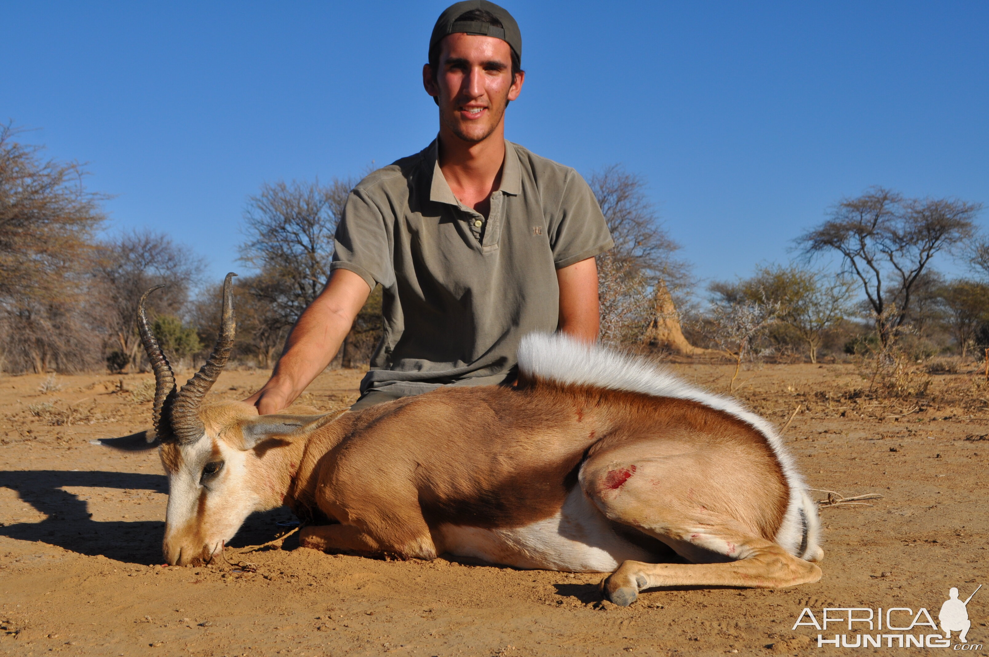 Springbok Hunt Namibia