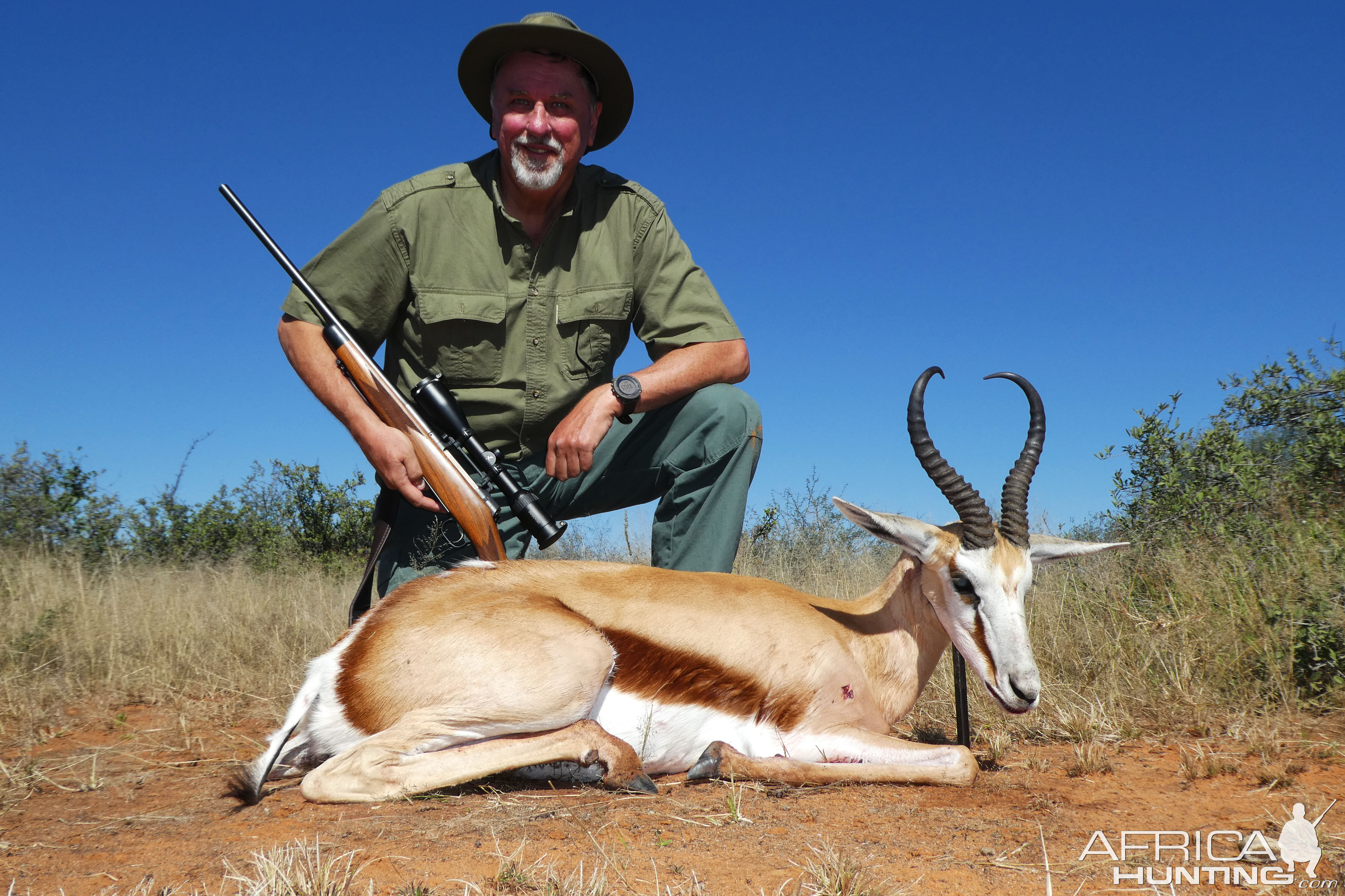 Springbok Hunt Namibia