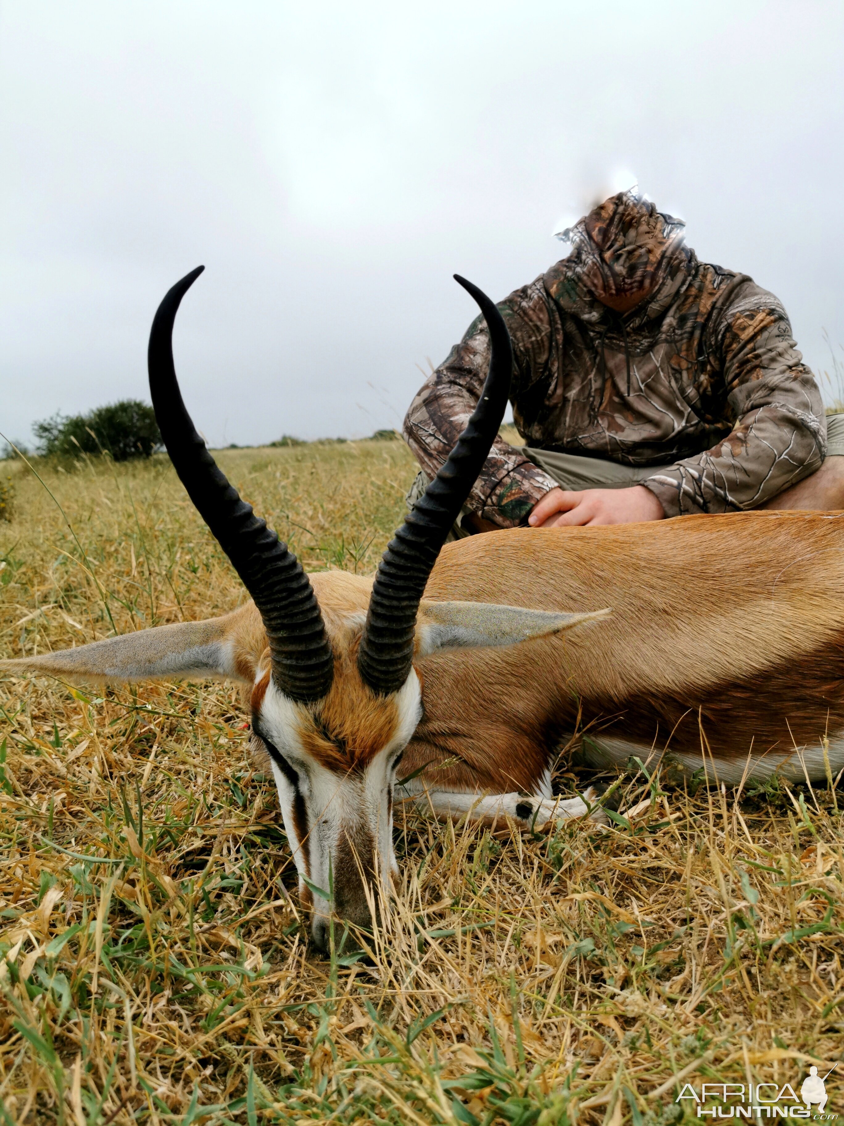 Springbok Hunt South Africa