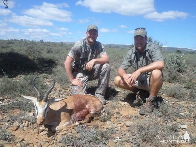 Springbok Hunt South Africa