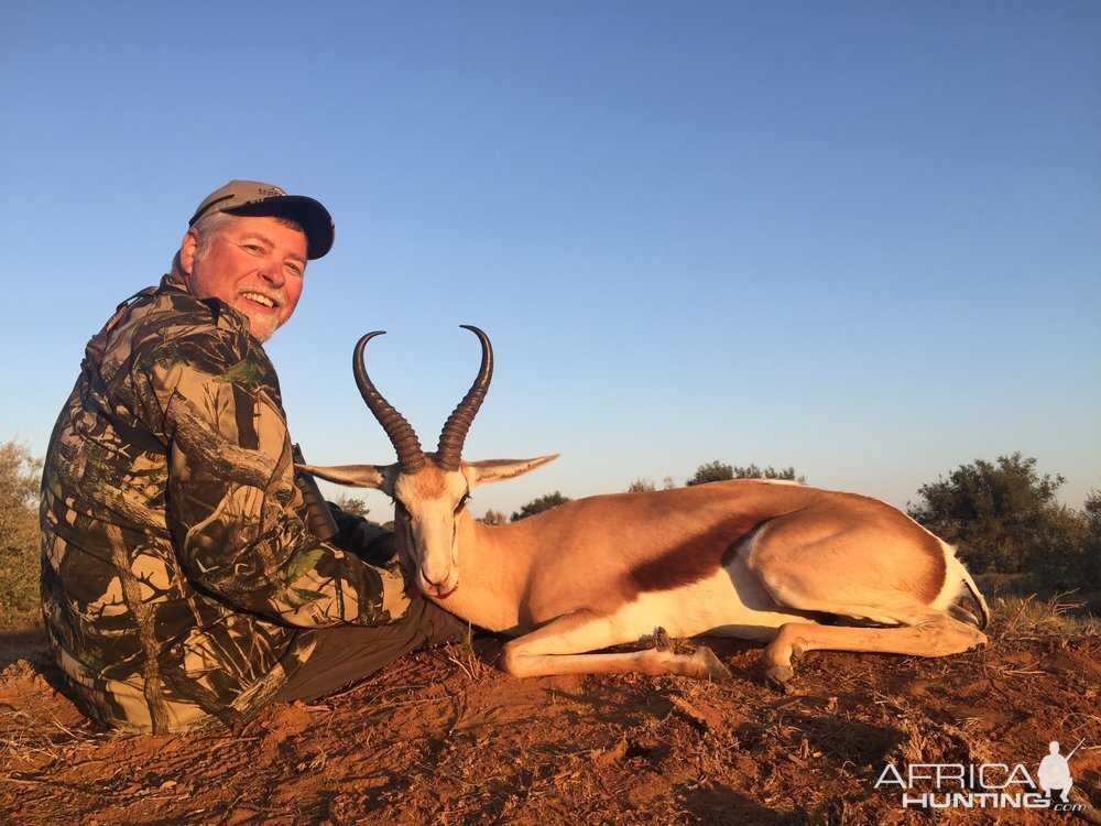 Springbok Hunt South Africa