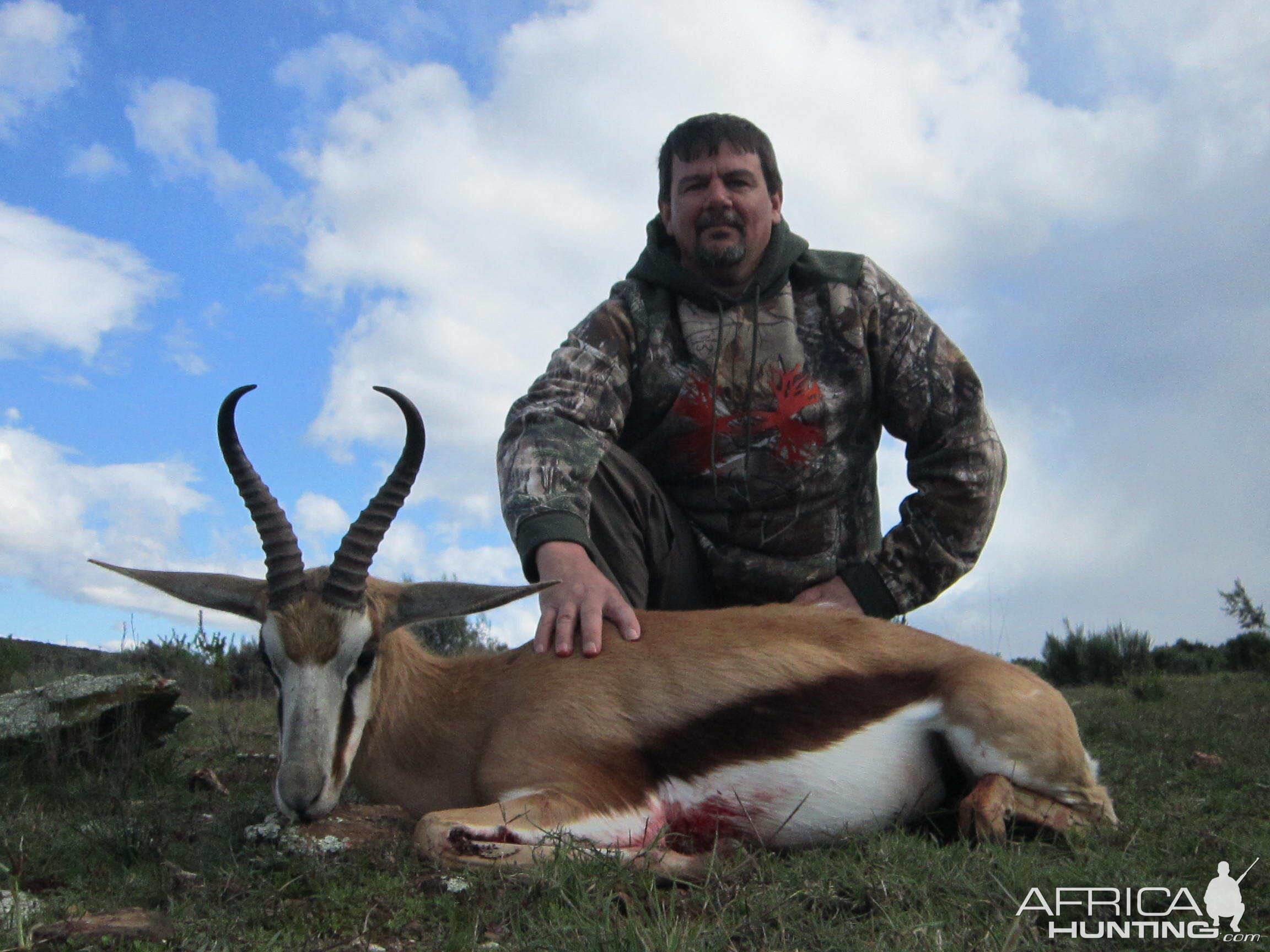 Springbok Hunt South Africa