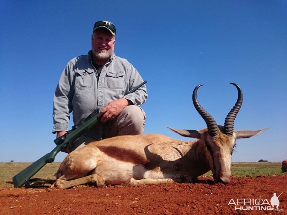 Springbok Hunt South Africa