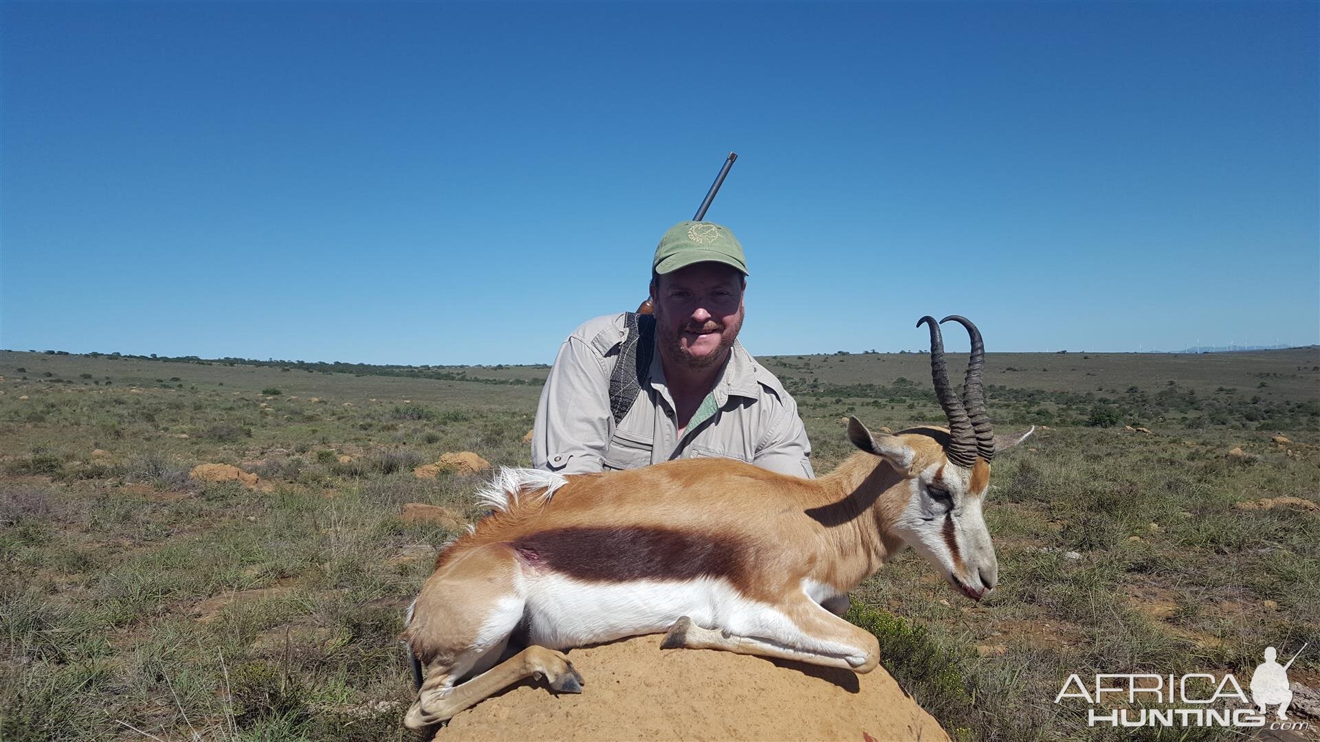 Springbok Hunt South Africa