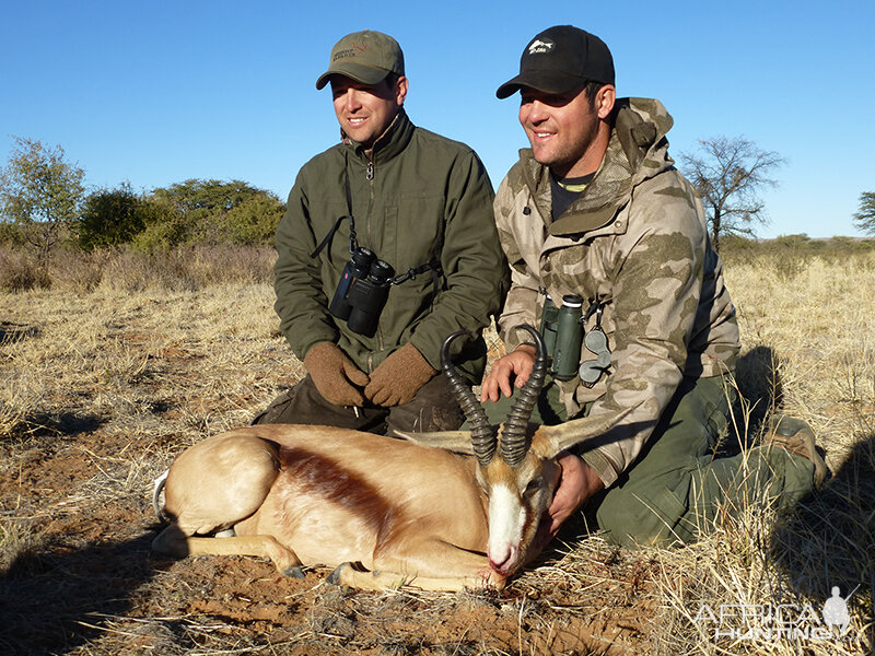 Springbok hunt with Wintershoek Johnny Vivier Safaris