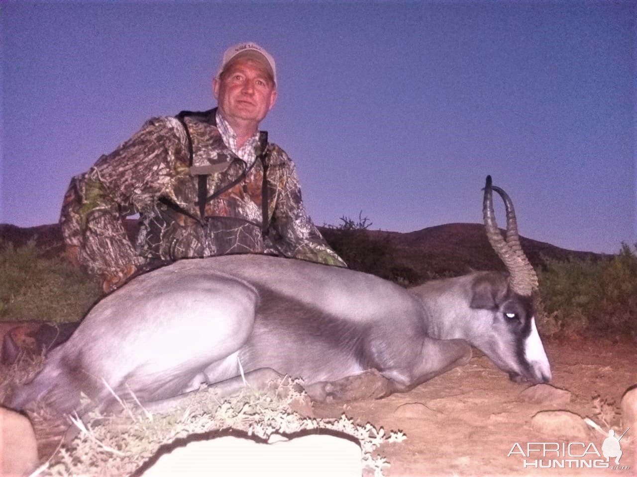 Springbok Hunting Eastern Cape South Africa