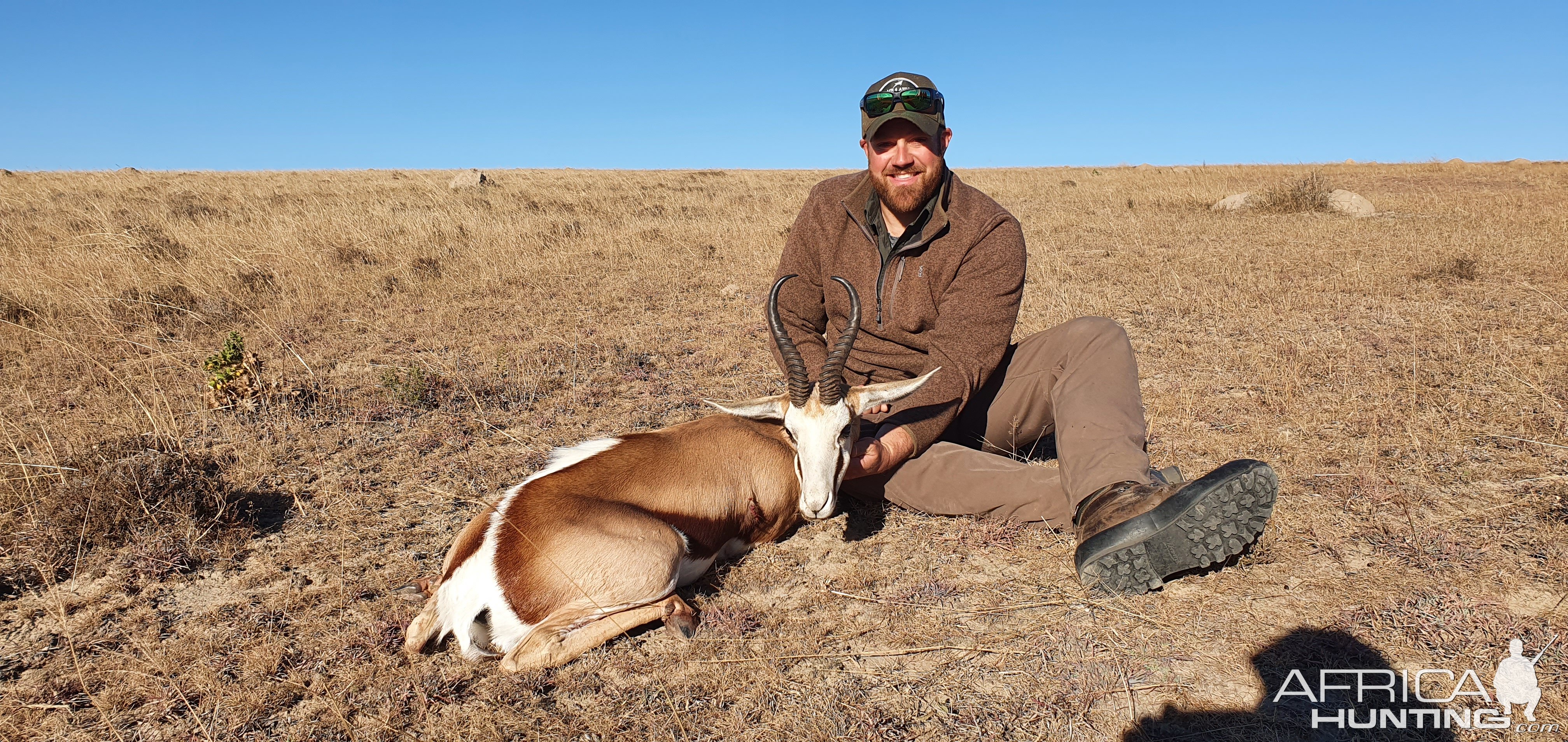 Springbok Hunting South Africa