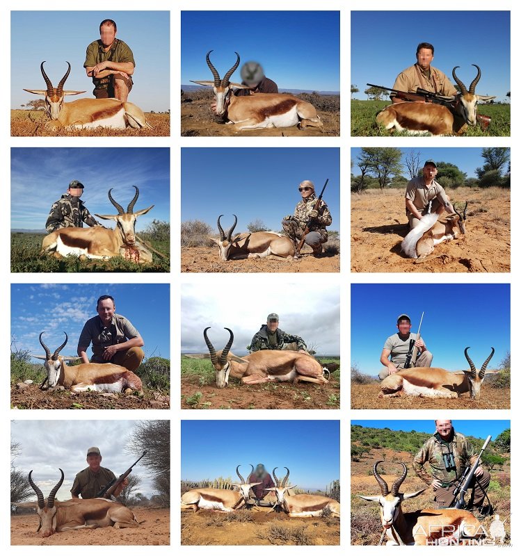 Springbok Hunting South Africa