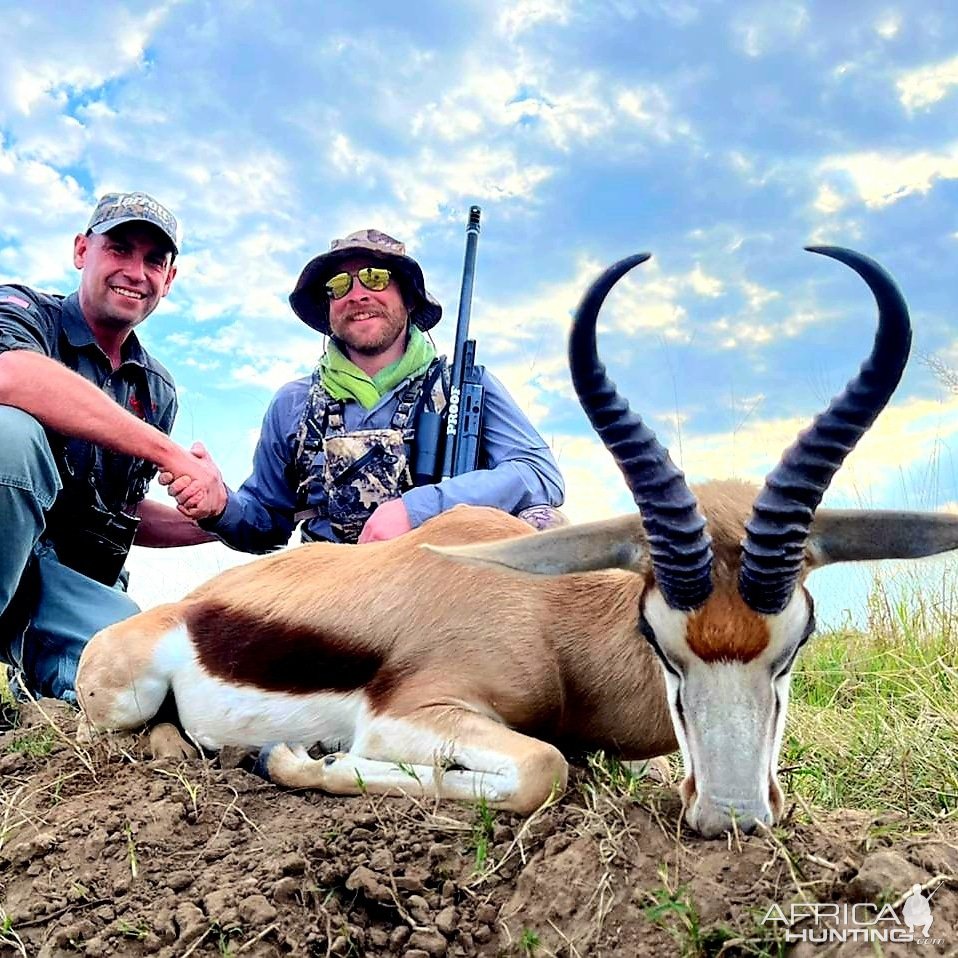 Springbok Hunting South Africa