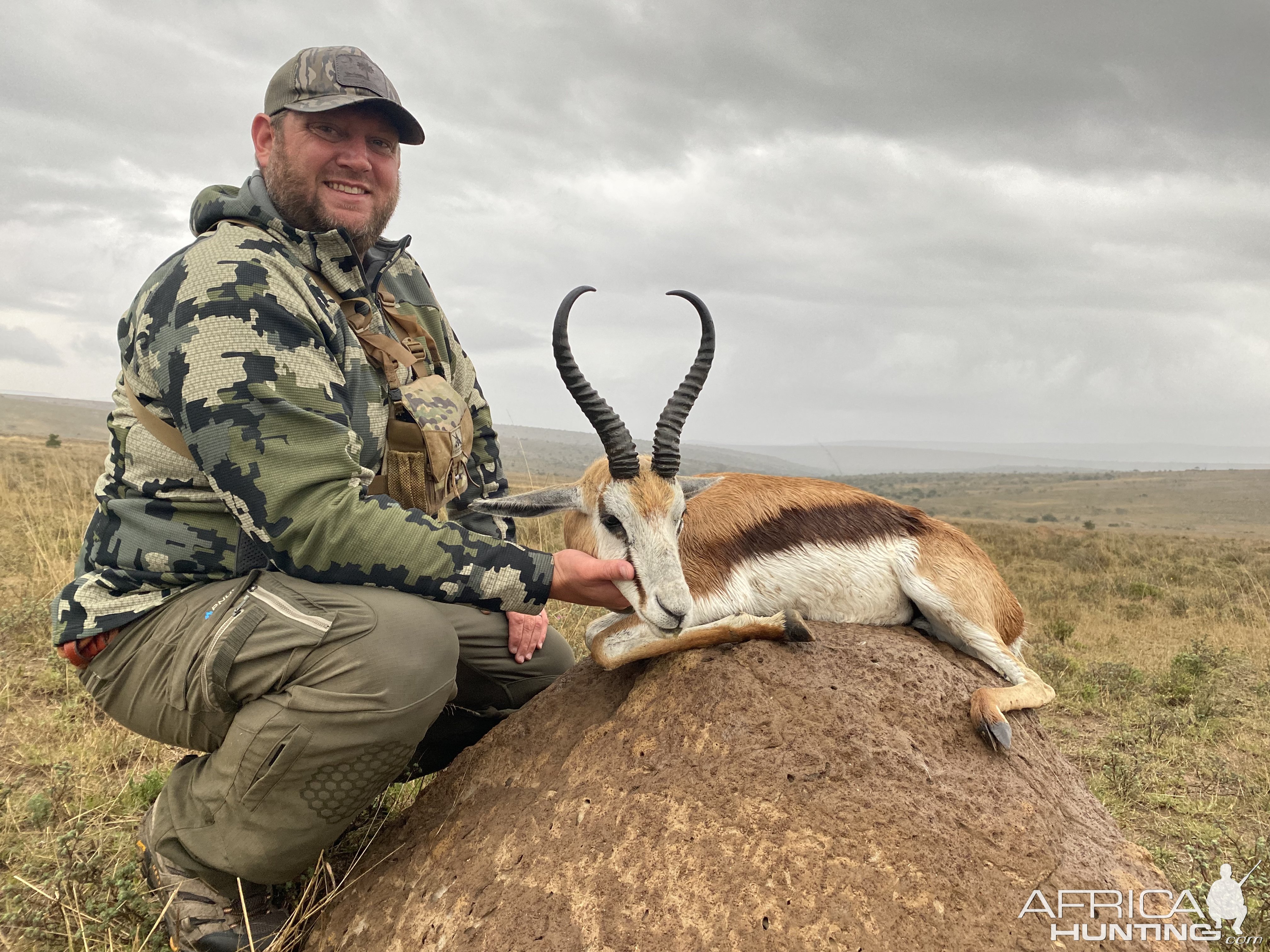 Springbok Hunting South Africa