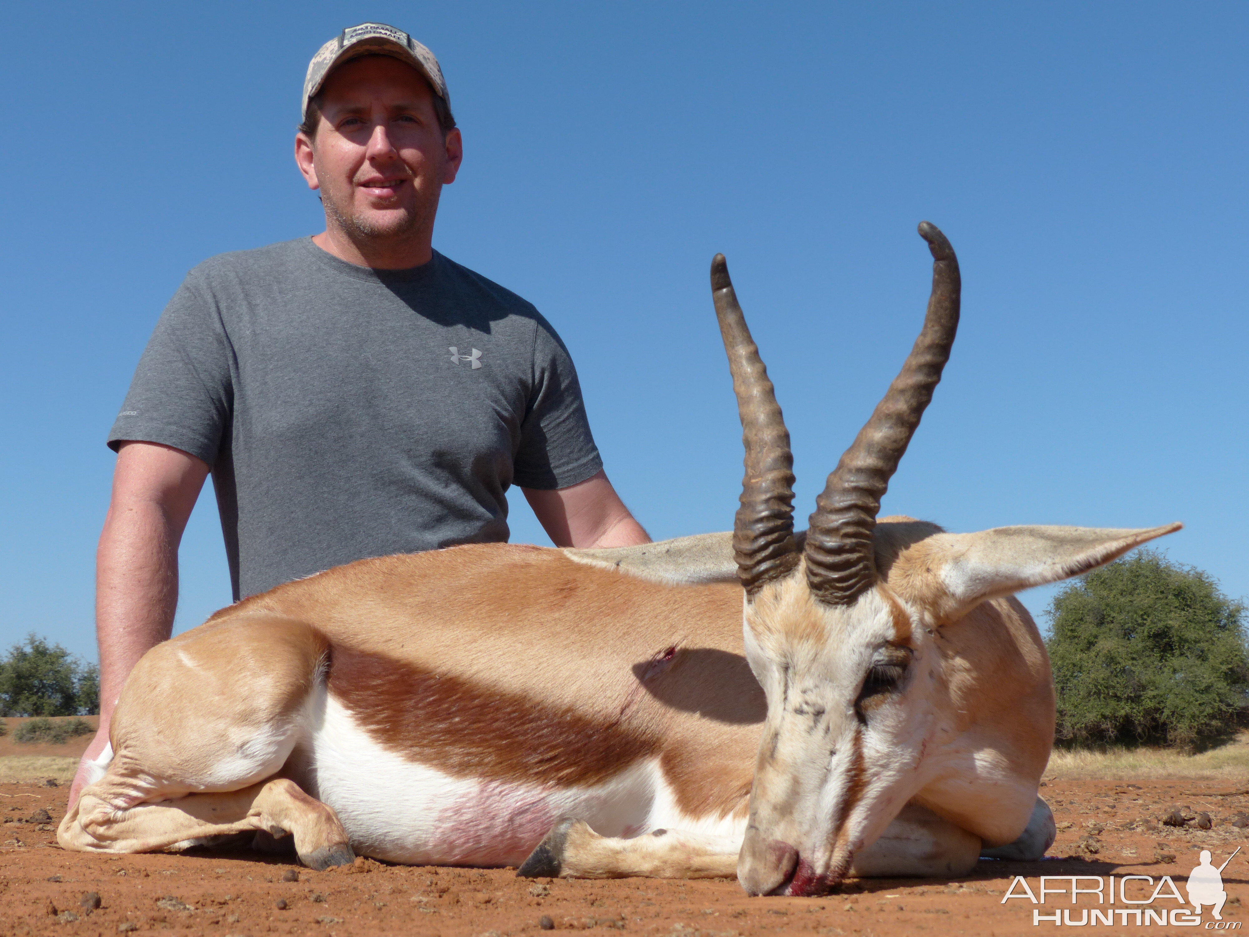 Springbok Hunting South Africa