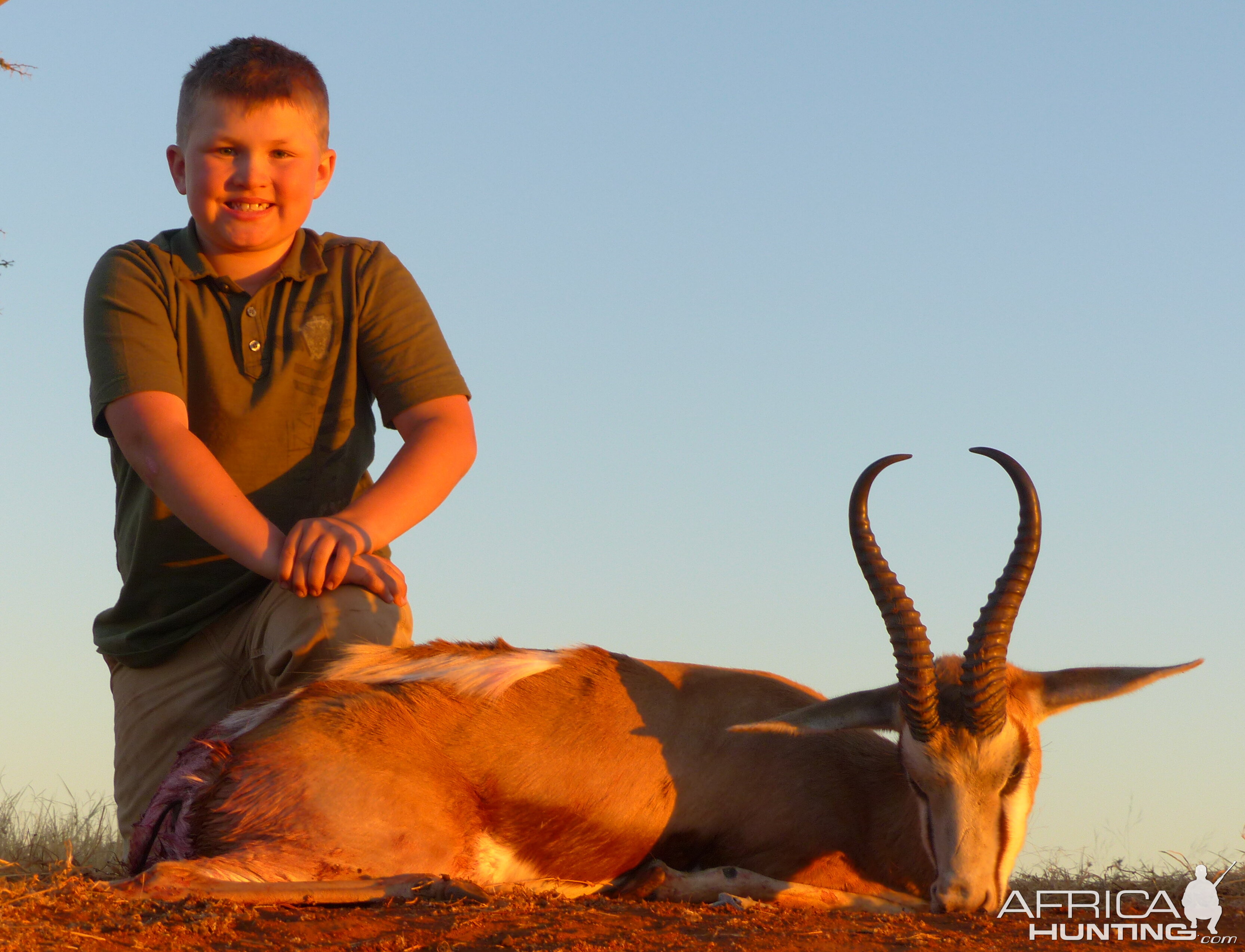 Springbok Hunting South Africa