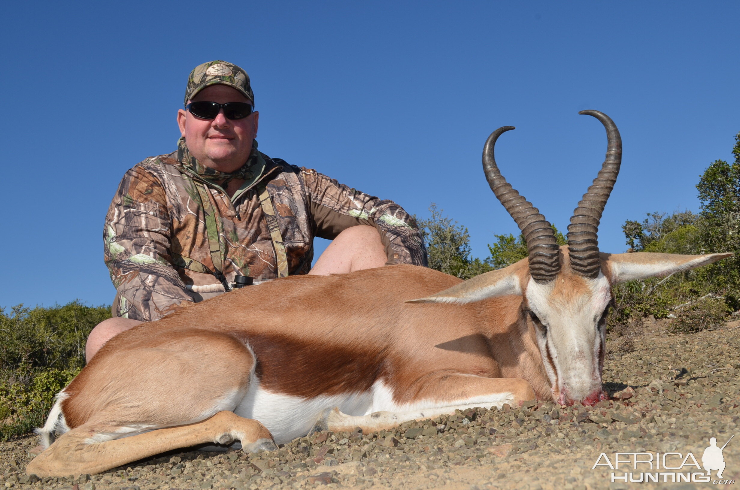 Springbok Hunting South Africa