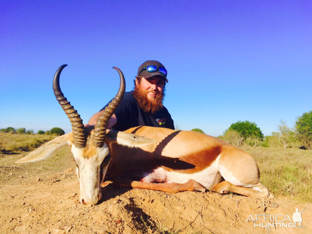 Springbok Hunting South Africa