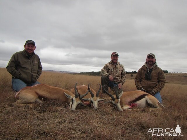 Springbok Hunting South Africa