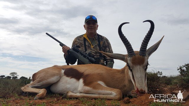 Springbok Hunting South Africa