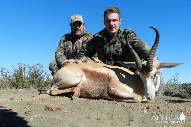 Springbok Hunting South Africa