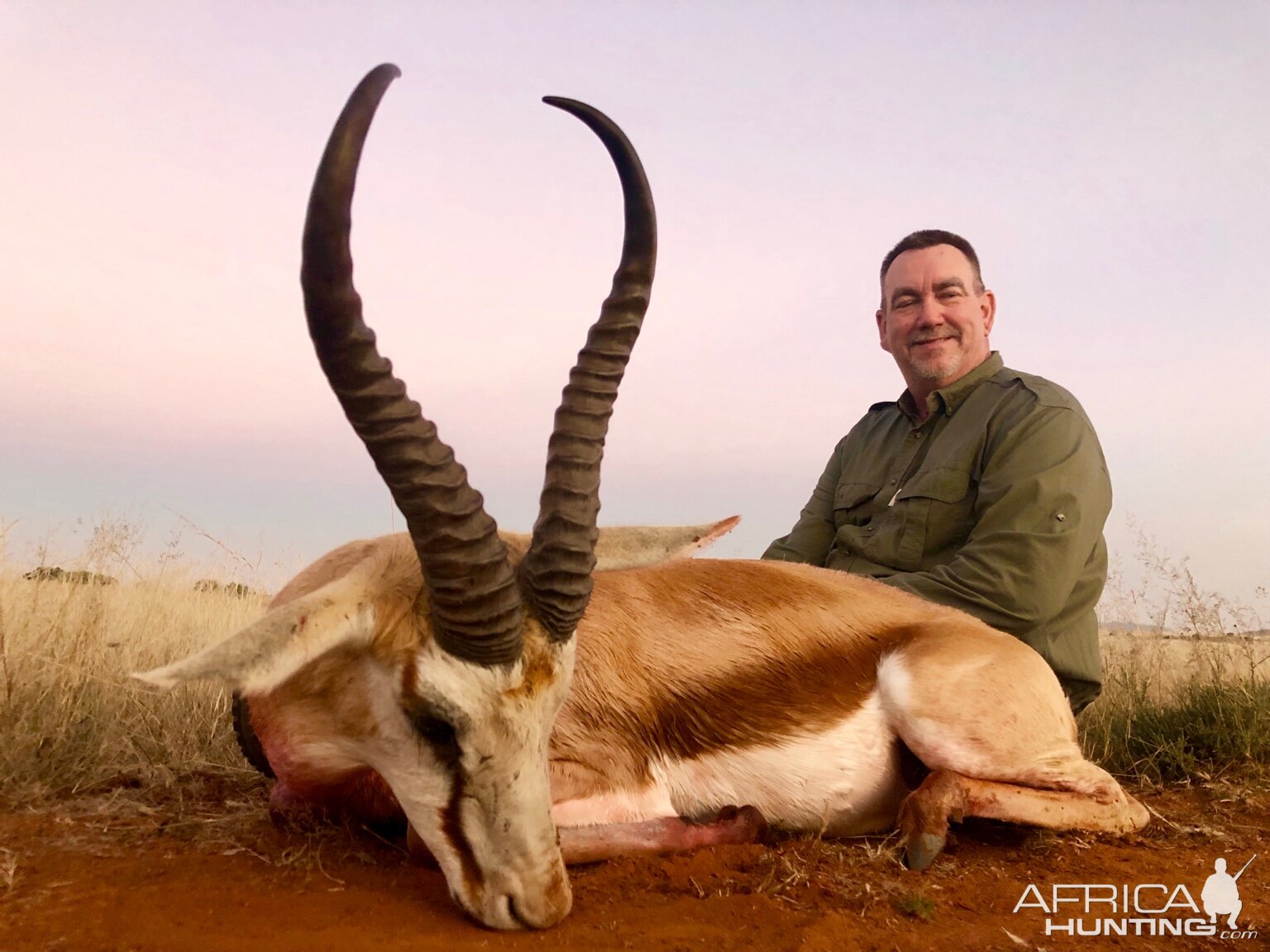 Springbok Hunting South Africa