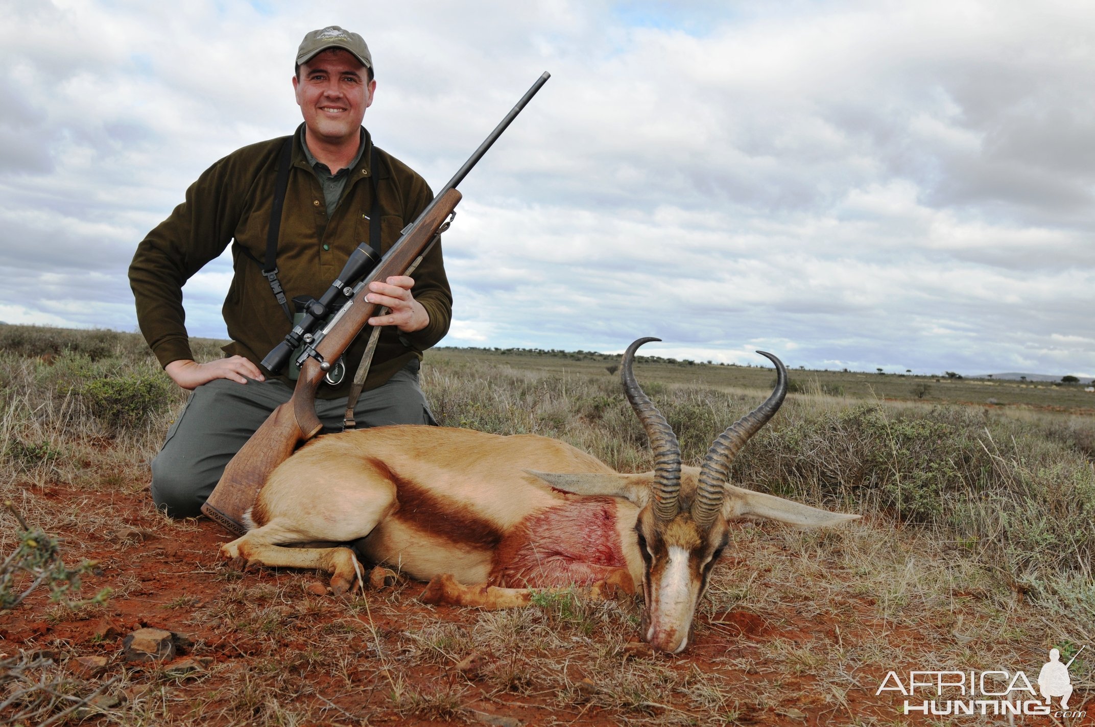 Springbok Karoo South Africa