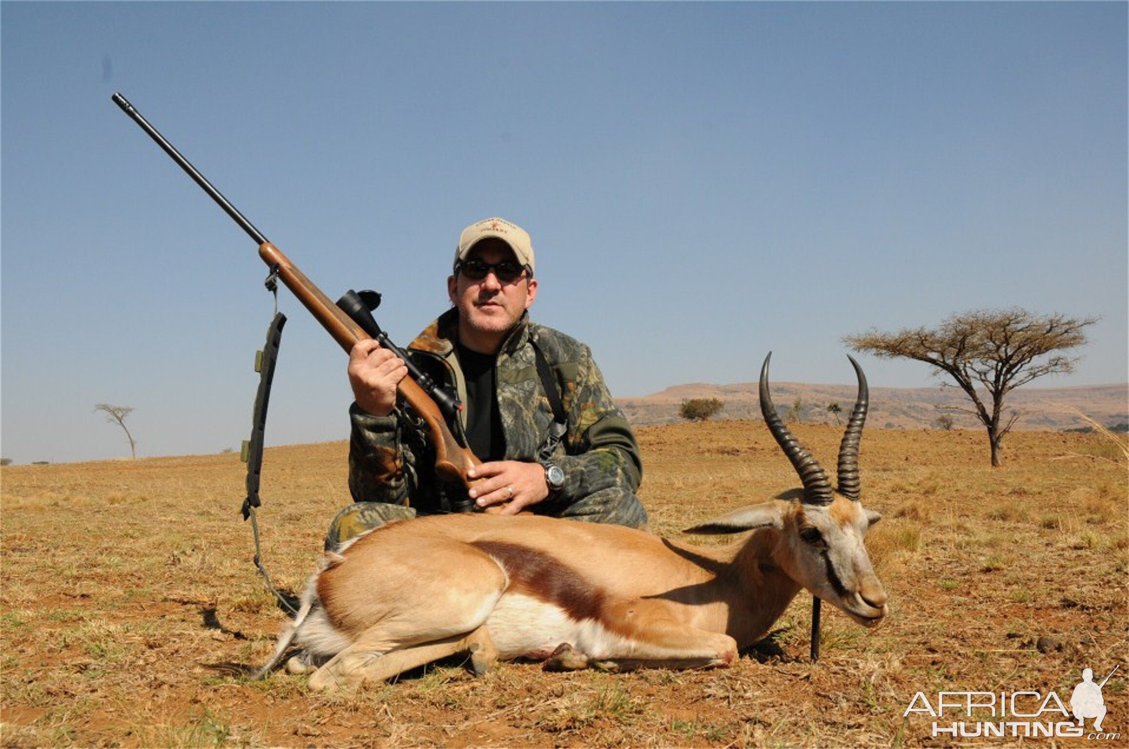 Springbok