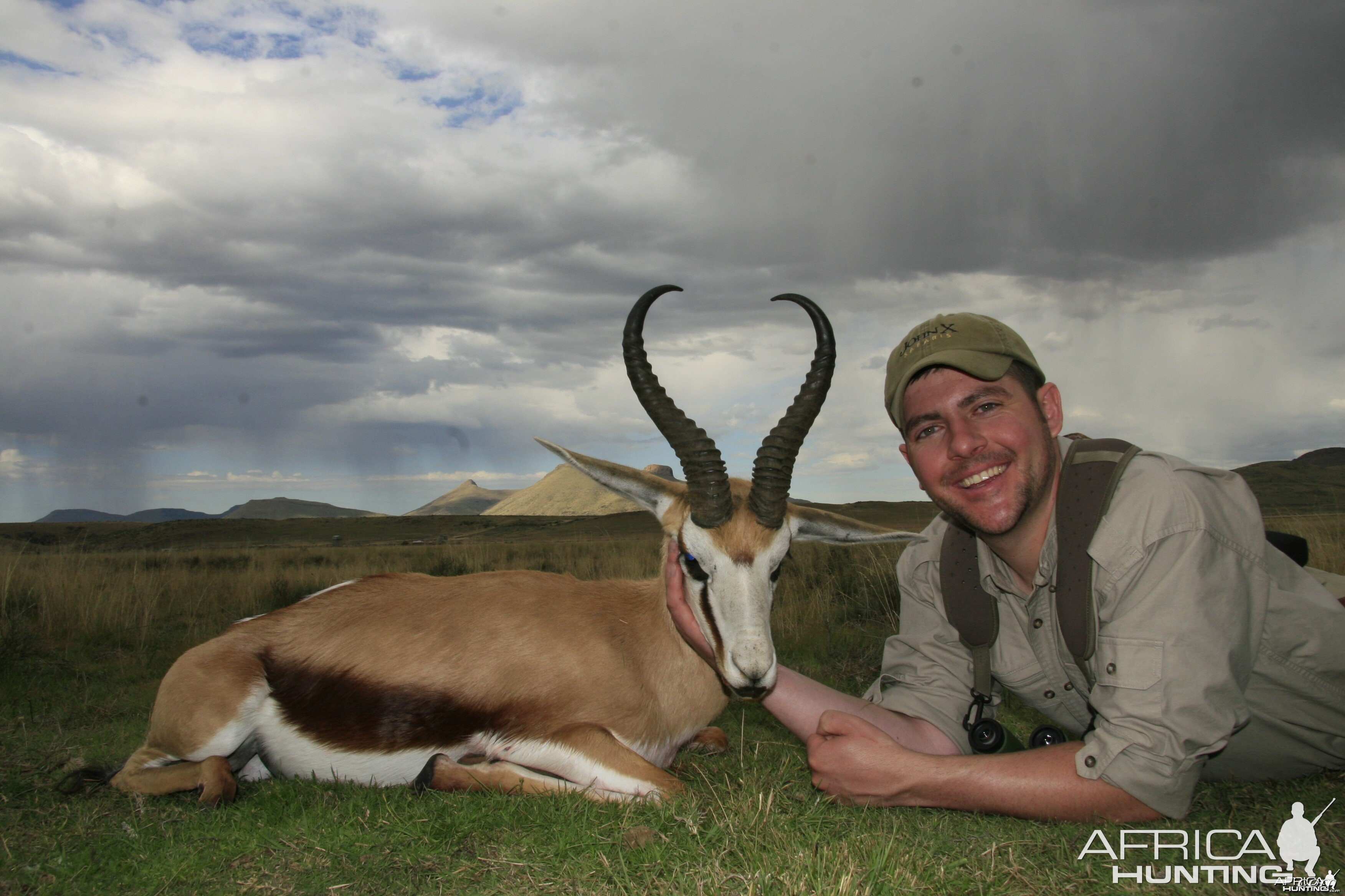 Springbok