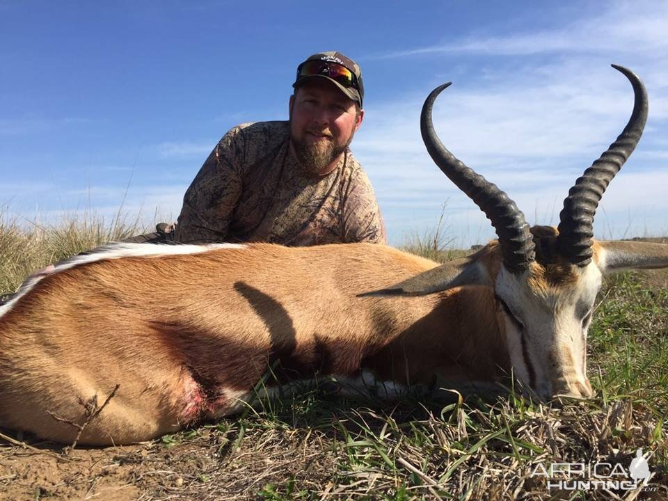 Springbuck Hunt South Africa