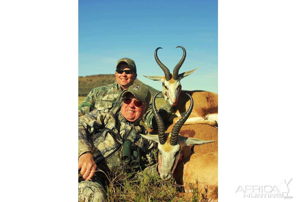 Springbuck Hunt South Africa