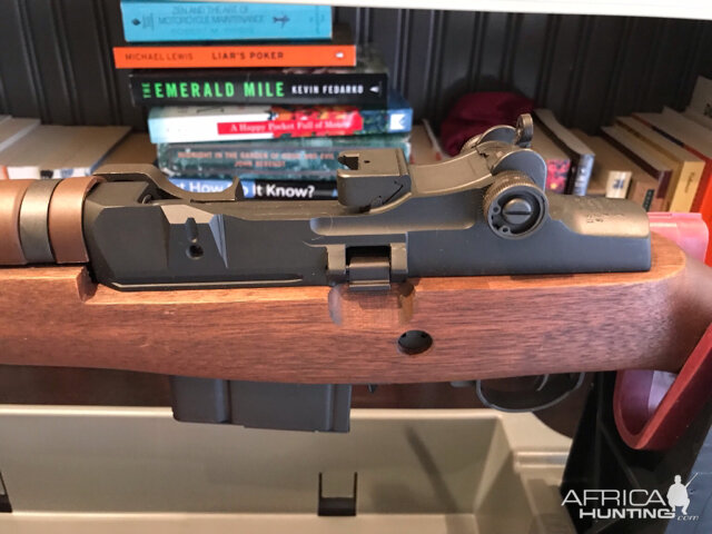 Springfield M1A Standard Rifle With Walnut Stock