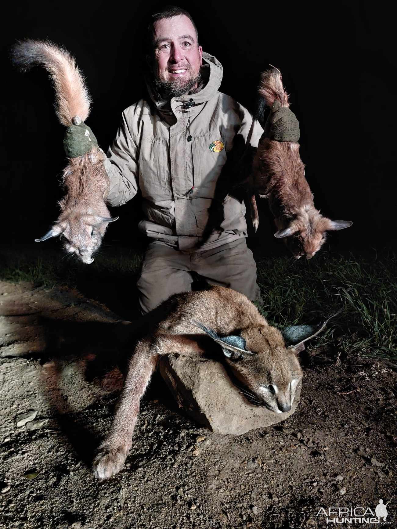 Springhares & Caracal Hunt Eastern Cape South Africa