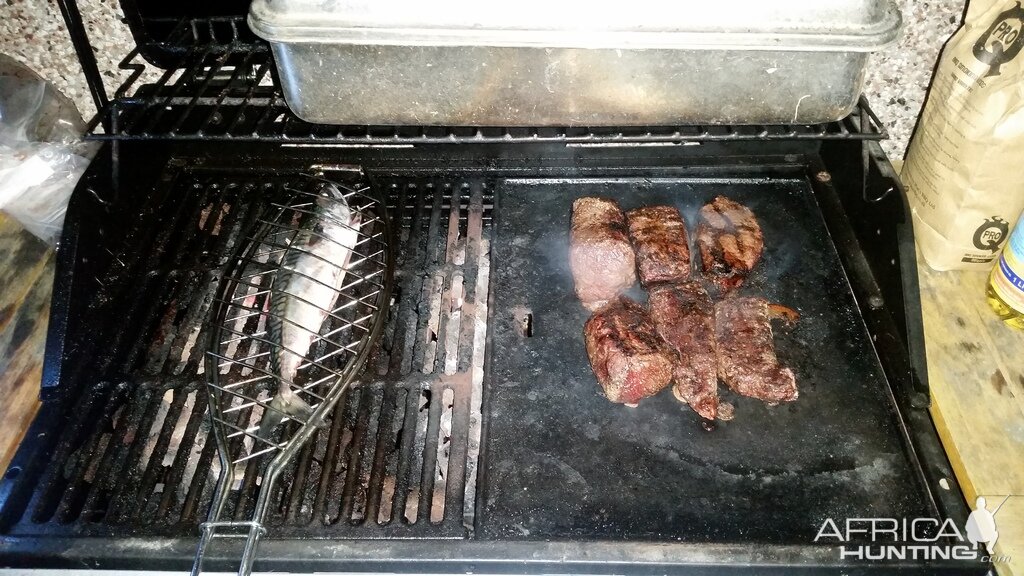 Stag and mackerel on the grill