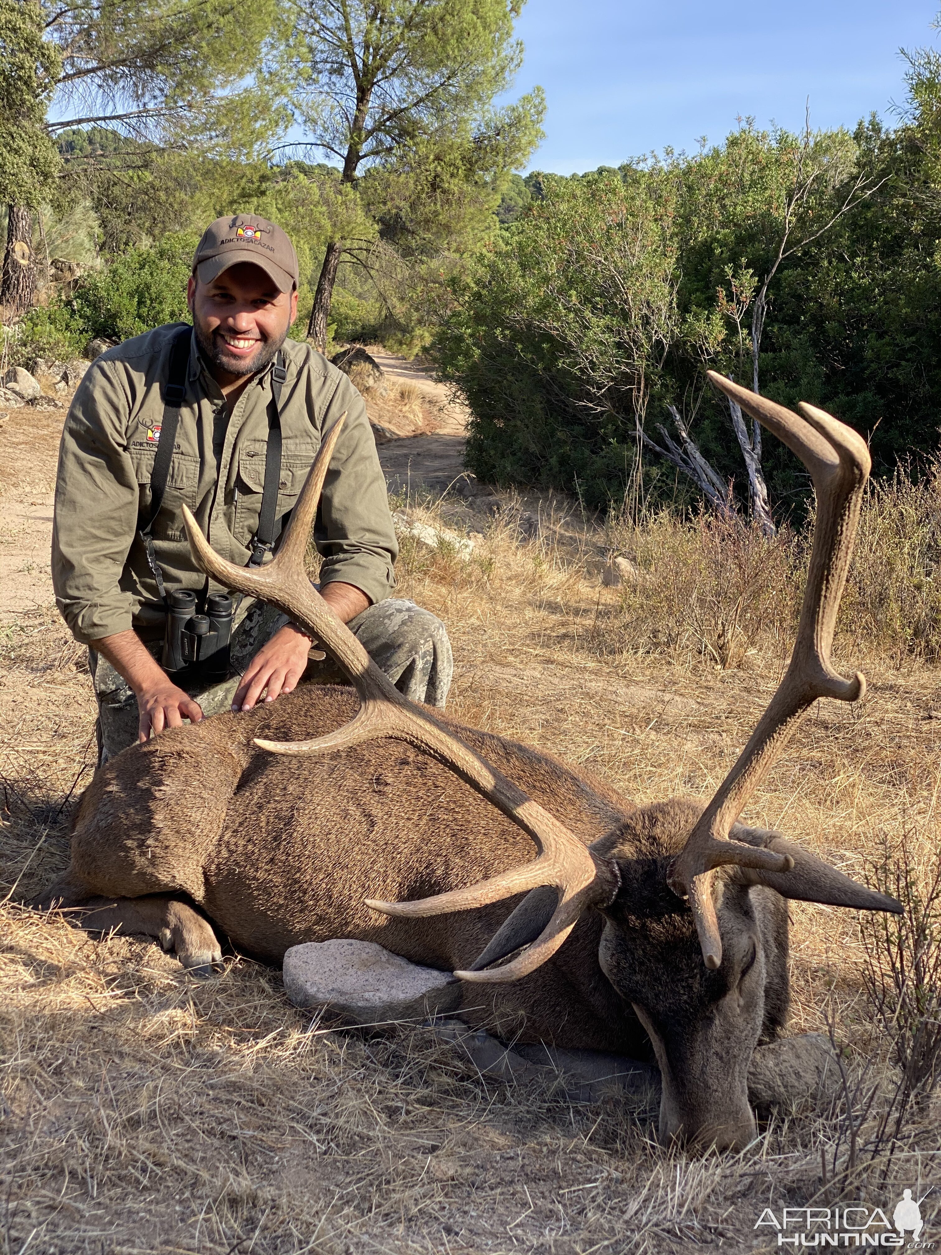 Stag Hunt in Spain