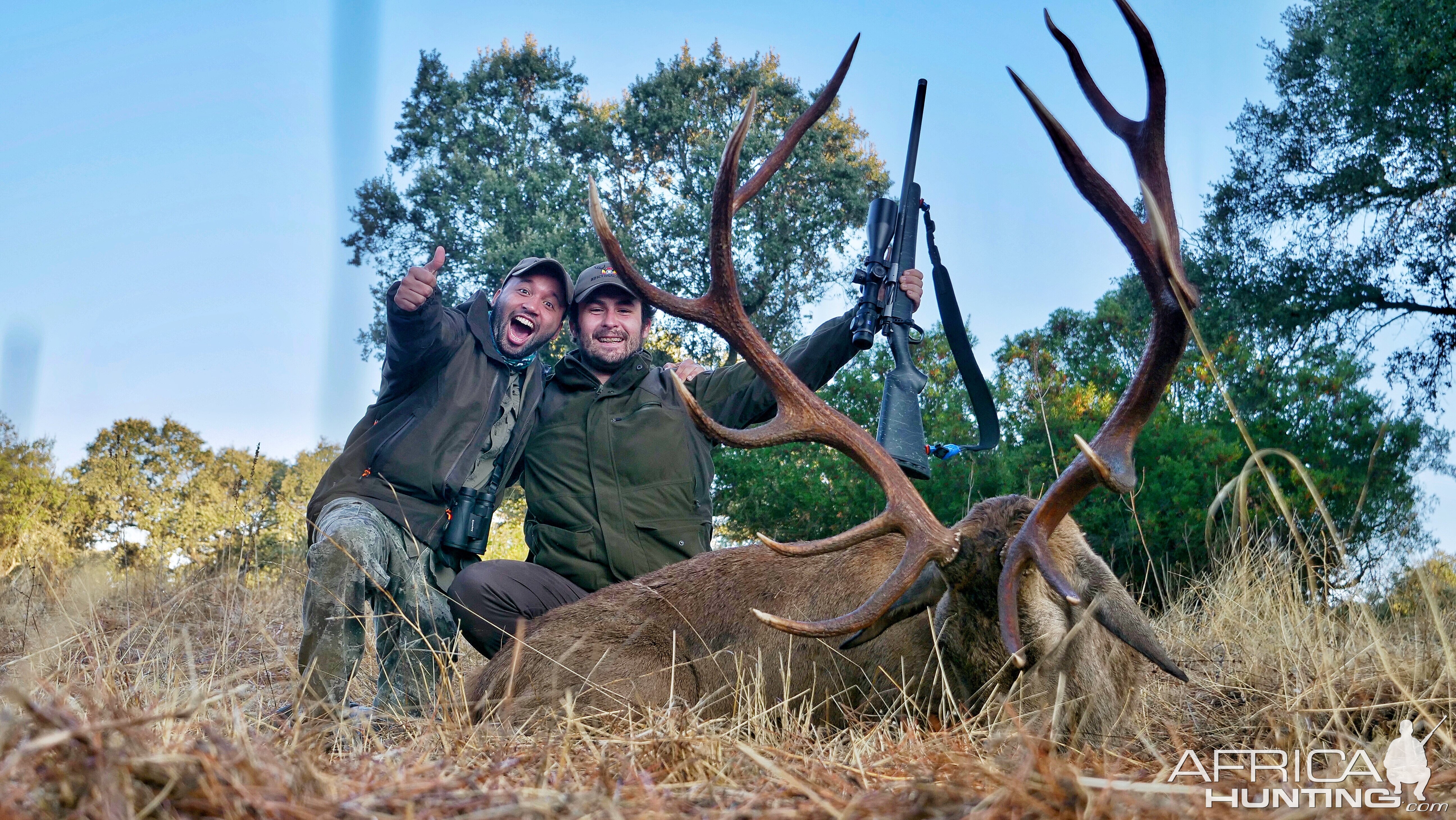 Stag Hunt in Spain