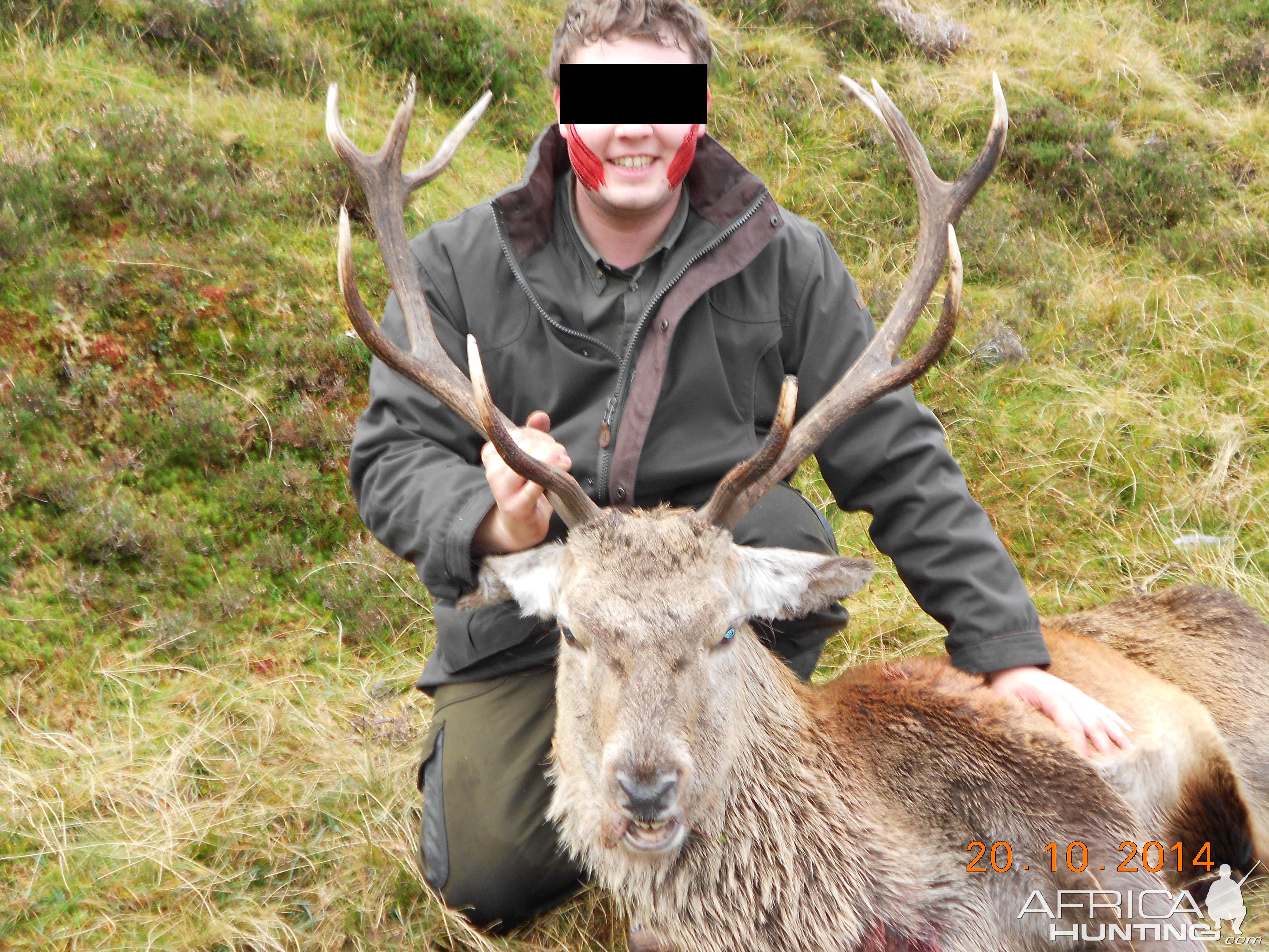 Stag Hunting Scottish Highlands