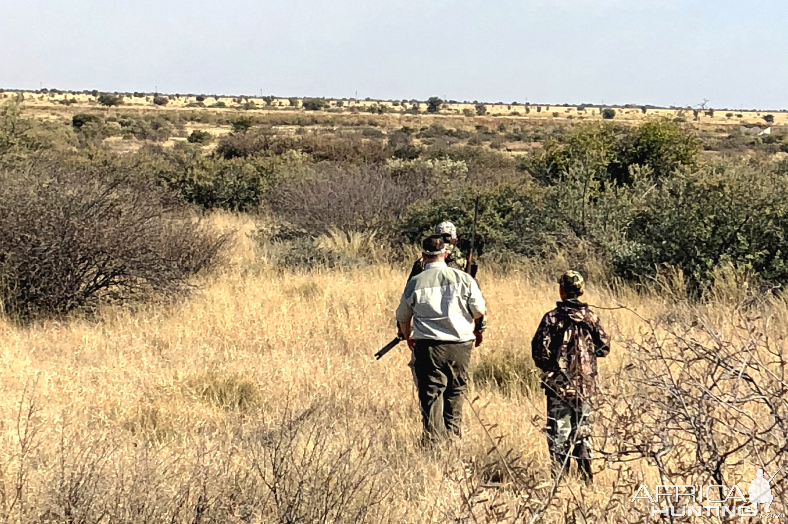 Stalking Black Springbok