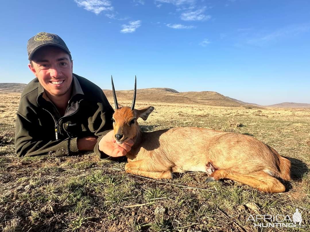 Steenbok Hunt Eastern Cape South Africa