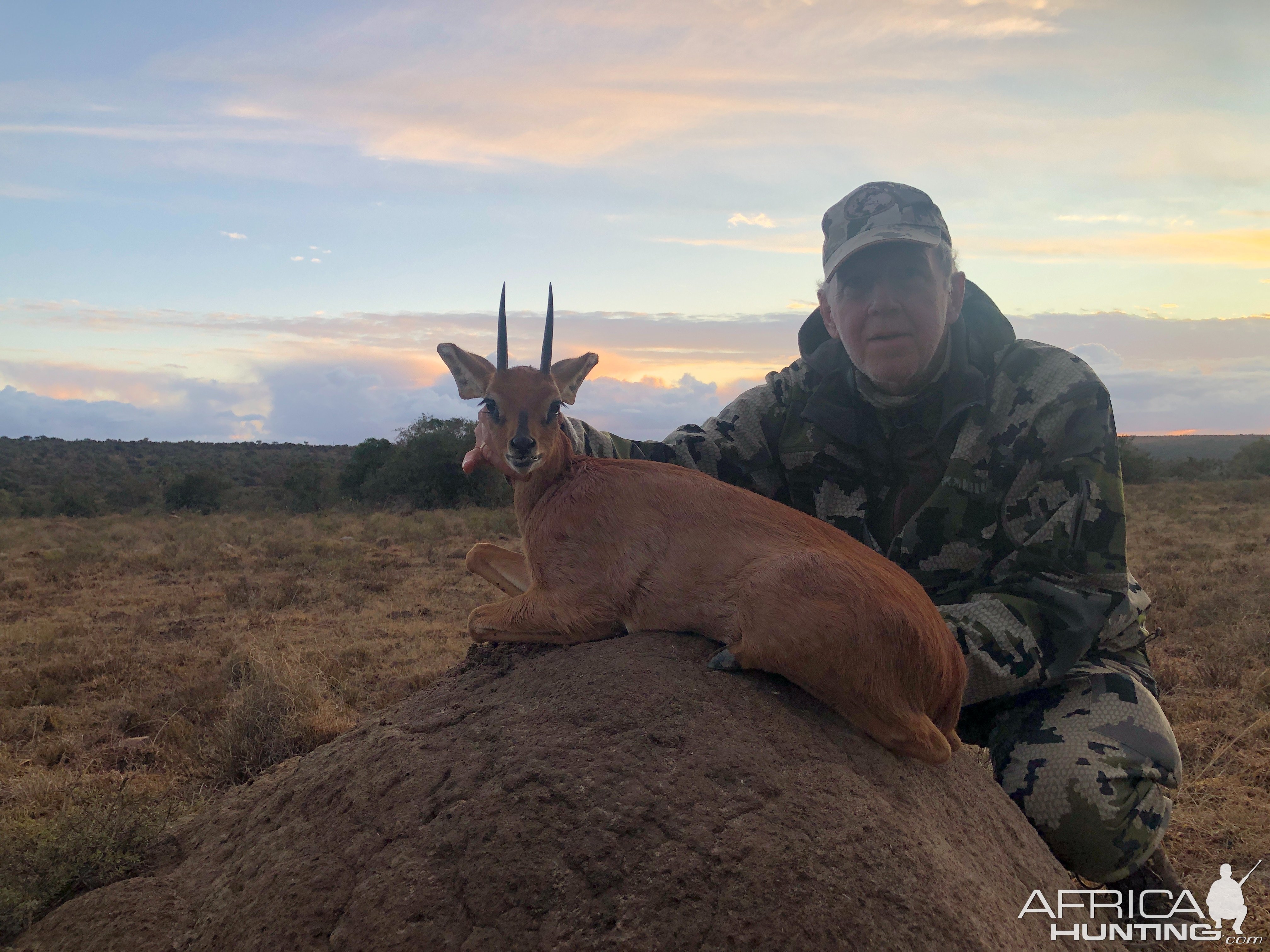 Steenbok Hunt Eastern Cape South Africa