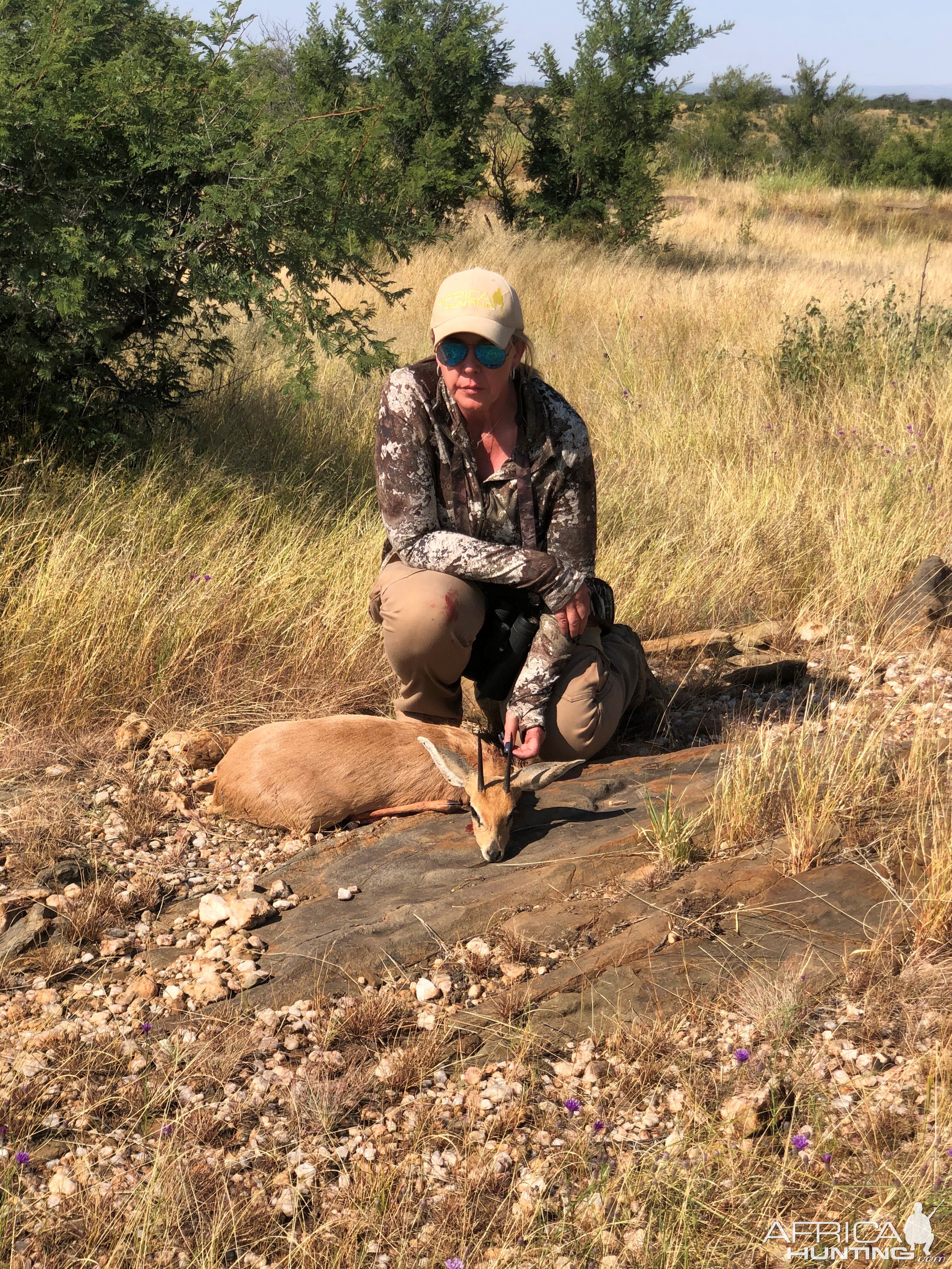 Steenbok Hunt Namibia