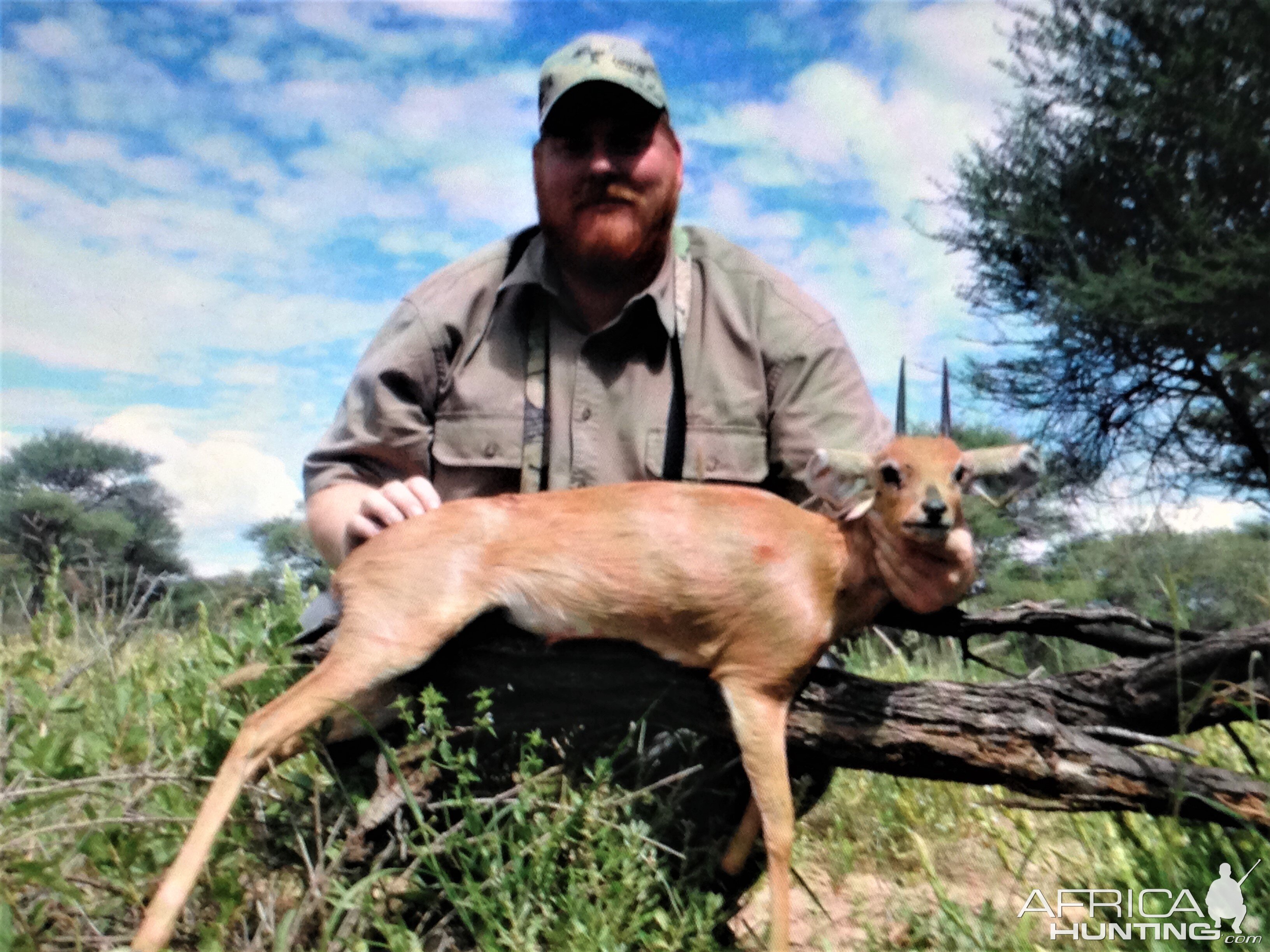 Steenbok Hunt Namibia