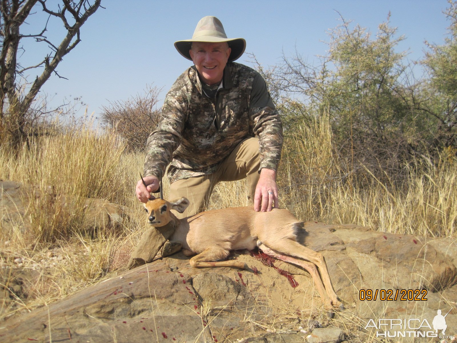 Steenbok Hunt Namibia