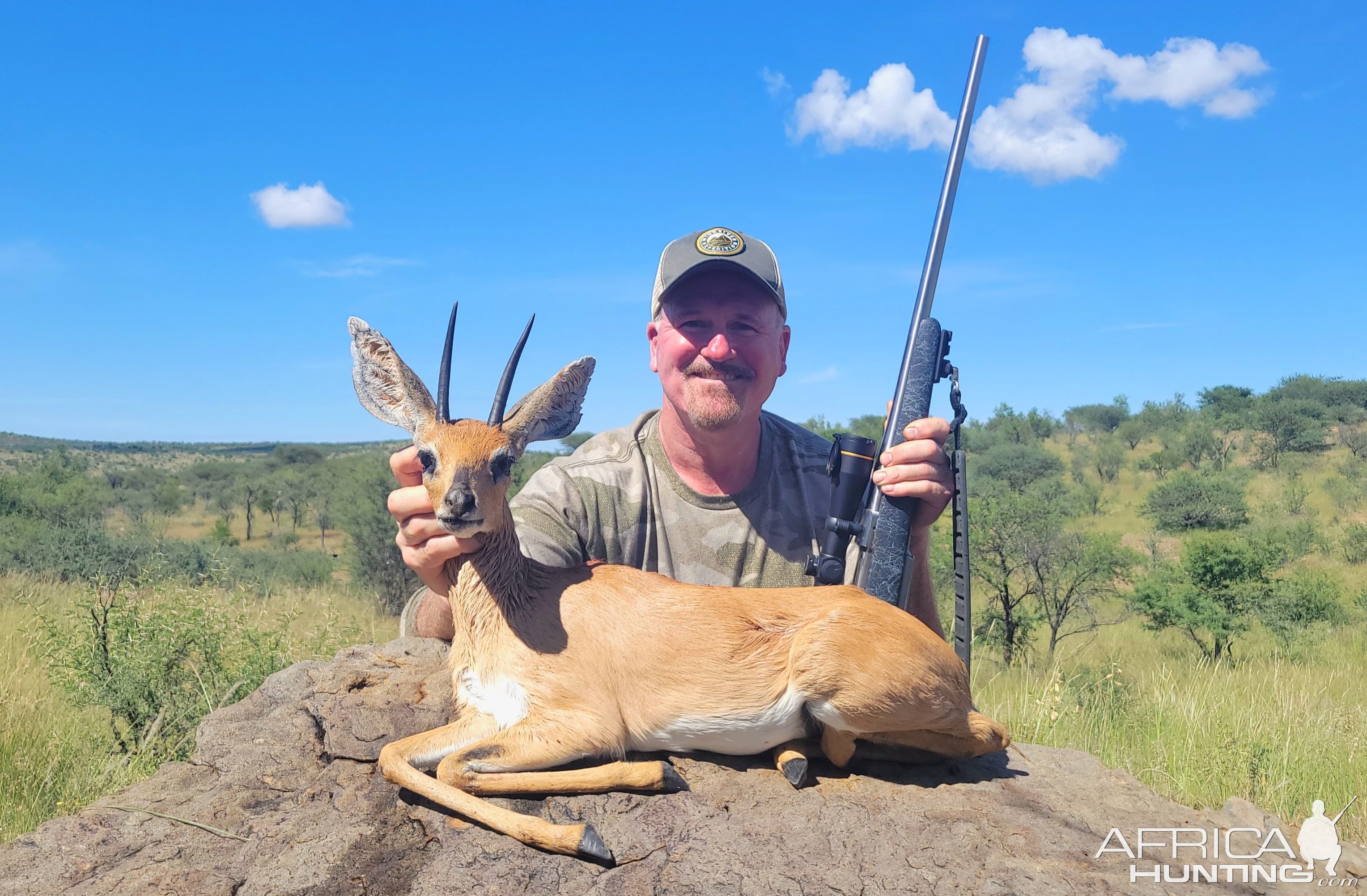 Steenbok Hunt Namibia