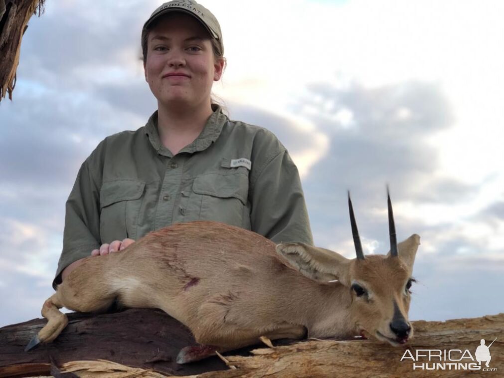 Steenbok Hunt Namibia