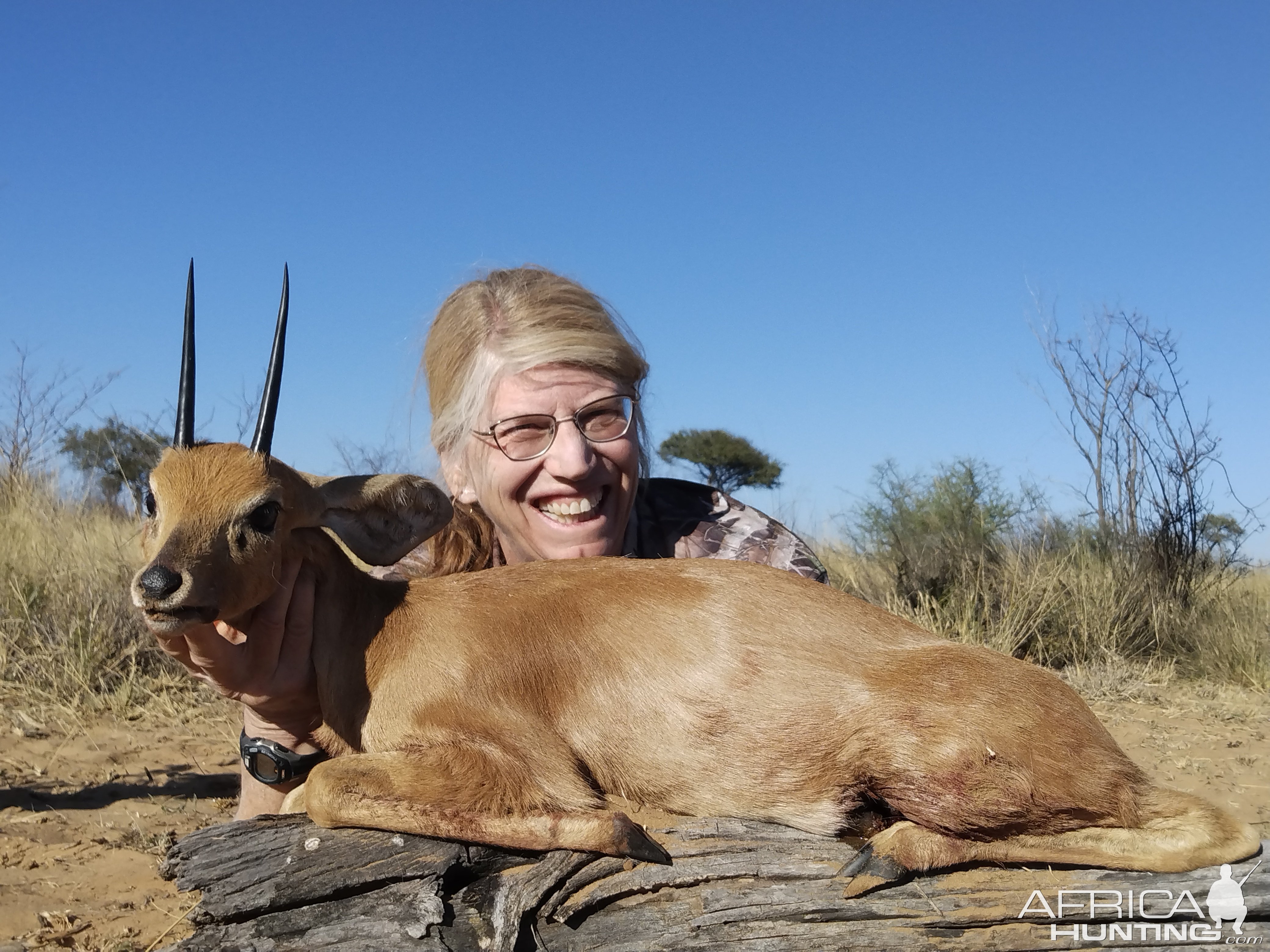 Steenbok Hunt South Africa