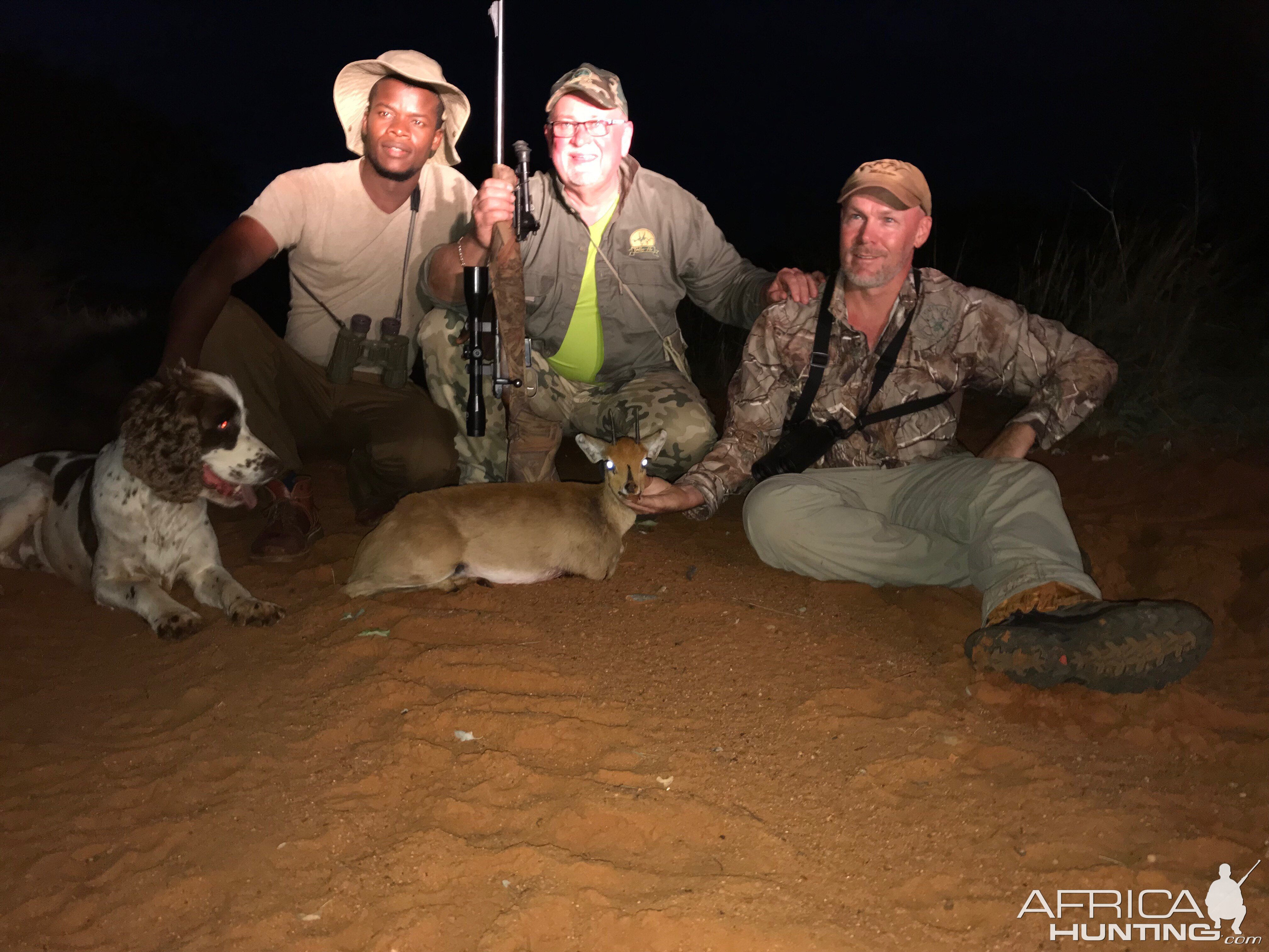 Steenbok Hunt South Africa