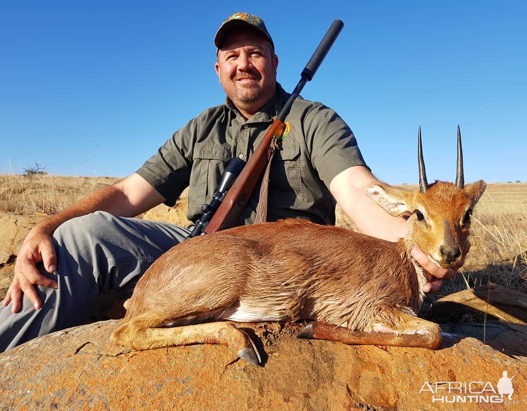 Steenbok Hunt South Africa