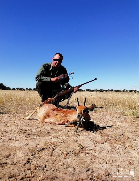 Steenbok Hunting Namibia