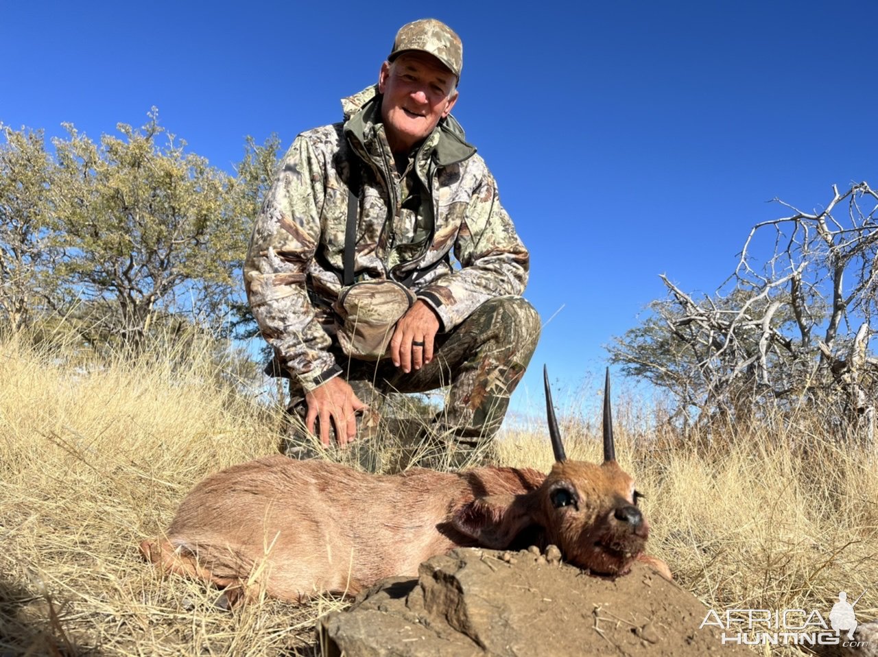 Steenbok Hunting Namibia